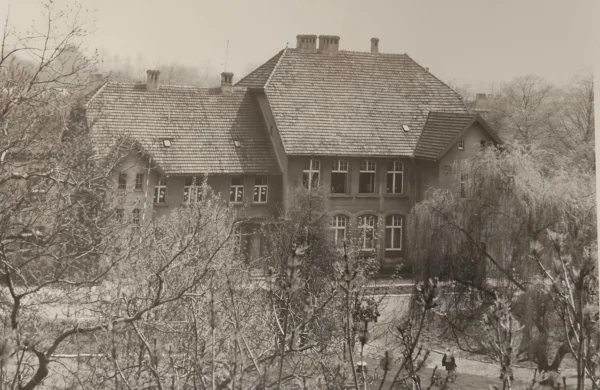 szkoła 5