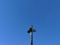 IMG_20250927_095333